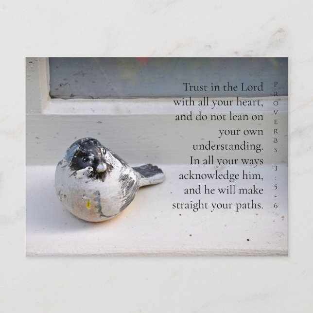 Proverbes 3:5-6 Carte postale Oiseau de la fenêtre (Devant)
