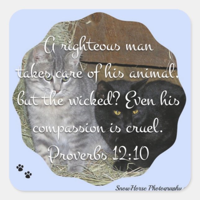 Proverbs 12:10 square sticker (Front)