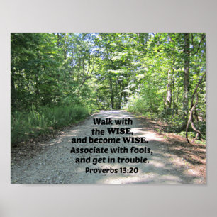 Proverbs 13:20 Walk with the wise and become wise. Poster
