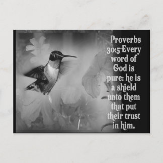 Proverbs 30:5 BIBLE SCRIPTURE with Hummingbird Postcard