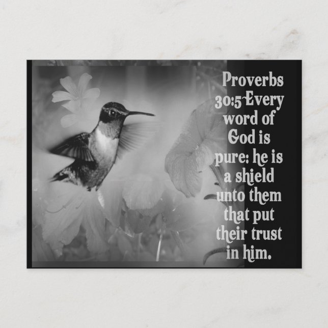 Proverbs 30:5 BIBLE SCRIPTURE with Hummingbird Postcard (Front)