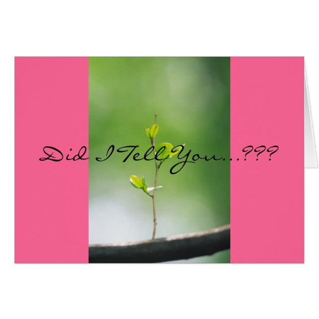 Proverbs 31:29 (Front Horizontal)