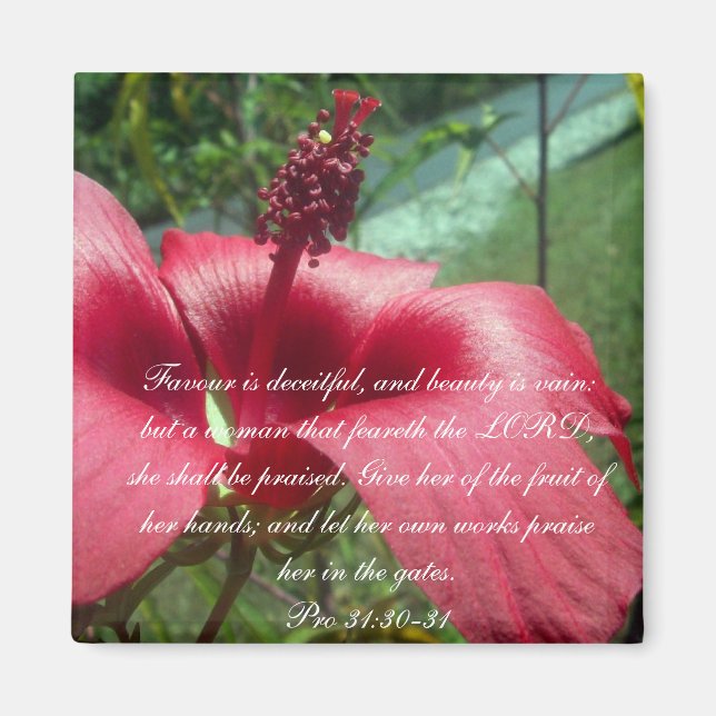 Proverbs 31 Collection ~ Pro 31:30-31 Magnet (Front)