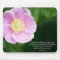 Proverbs 3:5-6 Christian Bible Verse Pink Flower