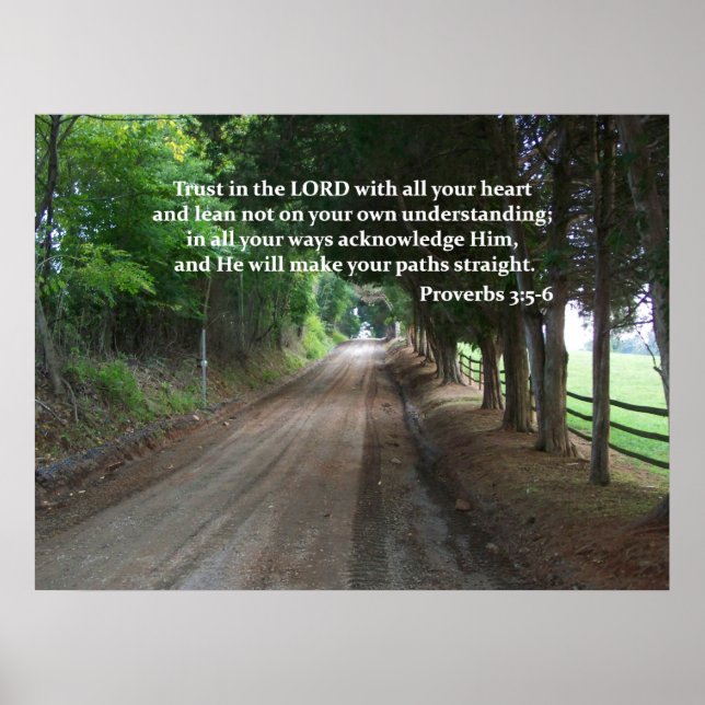 Proverbs 3:5-6 Christian Bible Verse Poster (Front)