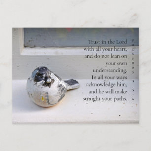Proverbs 3:5-6 Window Sill Bird Postcard