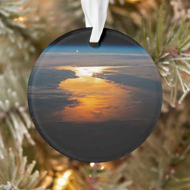 Provinces Canadiennes De Terre-Neuve-Et-Labrador. (Arbre)