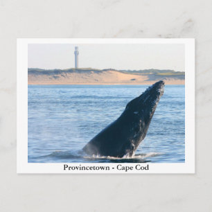 Provincetown - Cape Cod postcard