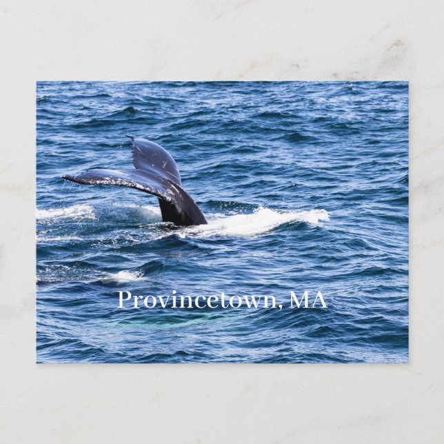 Provincetown Postcard (Front)
