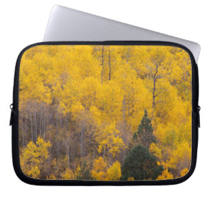 Provo River and aspen trees 12 Laptop Sleeve
