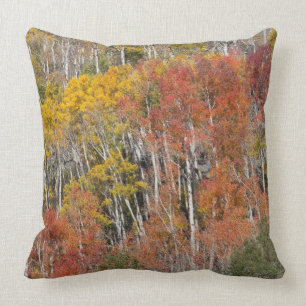 Provo River and aspen trees 15 Throw Pillow