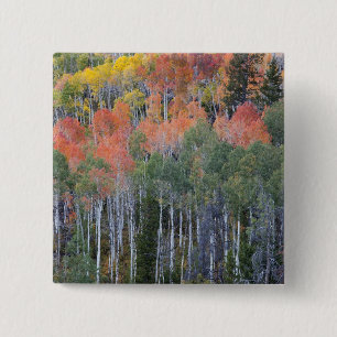 Provo River and aspen trees 2 Inch Square Button