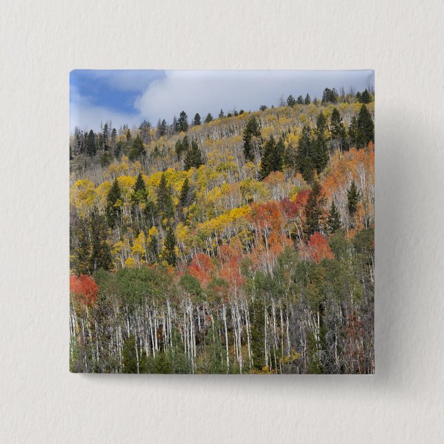 Provo River and aspen trees 2 Inch Square Button (Front)