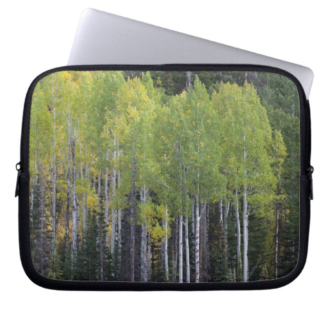 Provo River and aspen trees 2 Laptop Sleeve (Front)