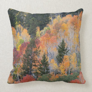 Provo River and aspen trees 4 Throw Pillow