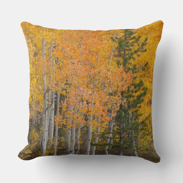 Provo River and aspen trees 7 Throw Pillow (Front)