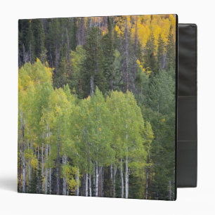 Provo River and aspen trees Binder