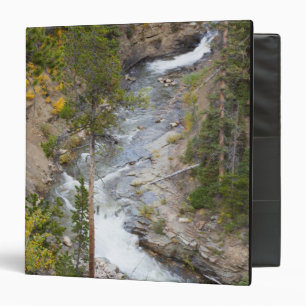 Provo River and aspen trees Binder