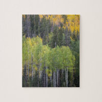 Provo River and aspen trees