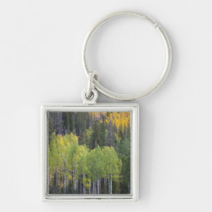 Provo River and aspen trees Keychain