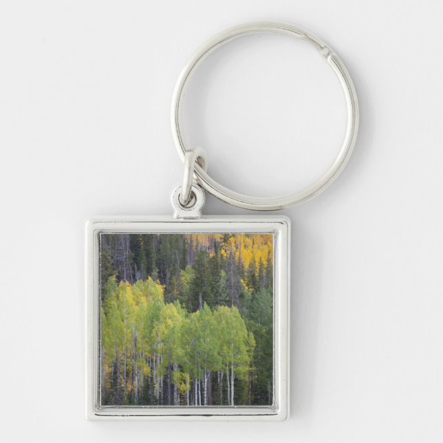 Provo River and aspen trees Keychain (Front)