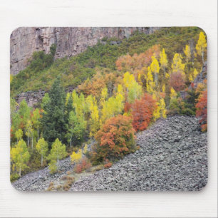 Provo River and aspen trees Mouse Pad