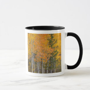Provo River and aspen trees Mug