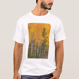Provo River and aspen trees T-Shirt