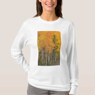 Provo River and aspen trees T-Shirt
