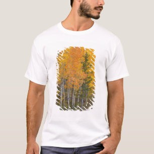 Provo River and aspen trees T-Shirt