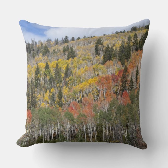 Provo River and aspen trees Throw Pillow (Front)