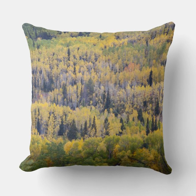 Provo River and aspen trees Throw Pillow (Front)