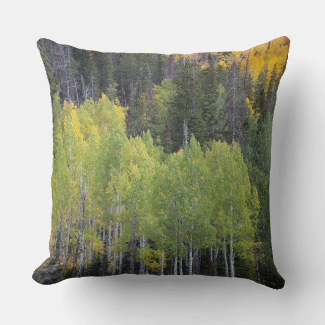 Provo River and aspen trees Throw Pillow (Front)