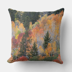 Provo River and aspen trees Throw Pillow