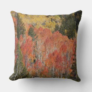 Provo River and aspen trees Throw Pillow