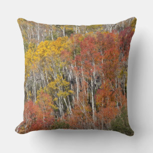 Provo River and aspen trees Throw Pillow