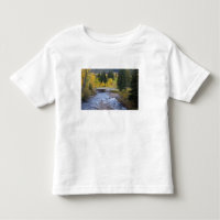 Provo River and aspen trees