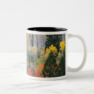 Provo River and aspen trees Two-Tone Coffee Mug