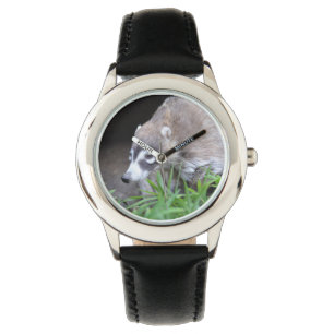 Prowling Coati Watch