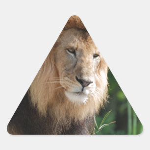 Prowling Lion Triangle Sticker