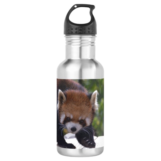Prowling Red Panda 532 Ml Water Bottle (Front)