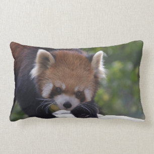 Prowling Red Panda Lumbar Pillow