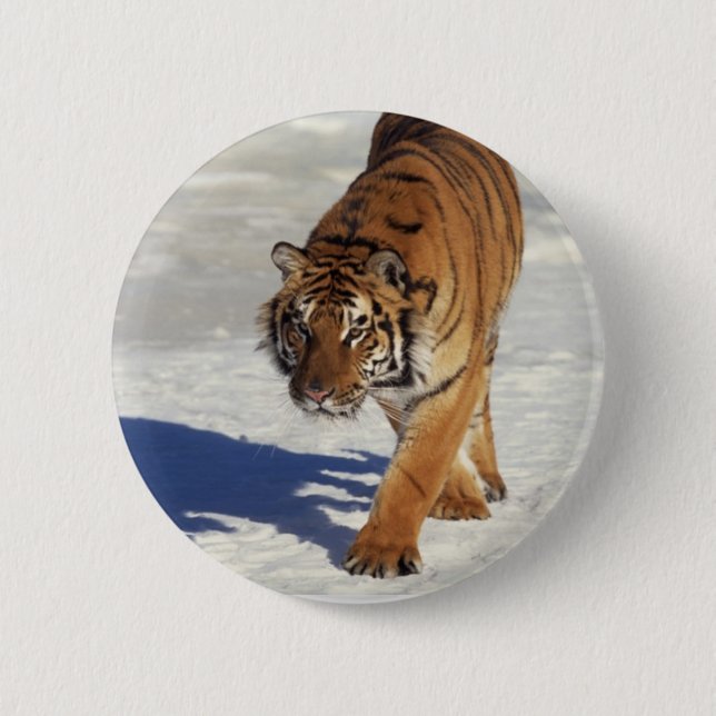 Prowling Tiger 2 Inch Round Button (Front)