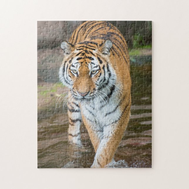 Prowling Tiger Portrait Photograph Jigsaw Puzzle (Vertical)