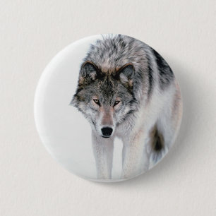 Prowling Wolf 2 Inch Round Button