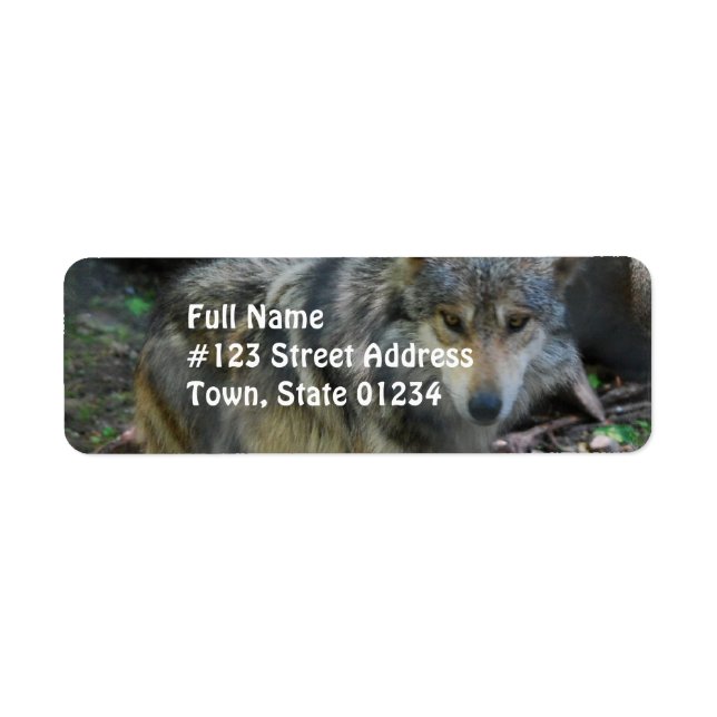 Prowling Wolf Mailing Étiquettes (Devant)