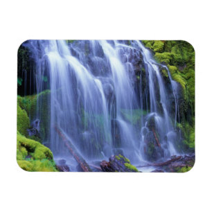 Proxy Falls in Oregon's Central Cascade Mountains Magnet