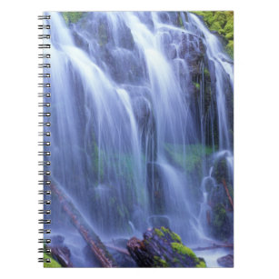 Proxy Falls in Oregon's Central Cascade Mountains Notebook
