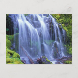Proxy Falls in Oregon's Central Cascade Mountains Postcard