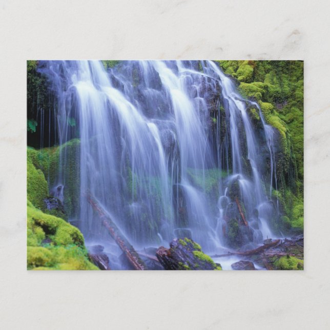 Proxy Falls in Oregon's Central Cascade Mountains Postcard (Front)